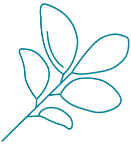 leaf icon