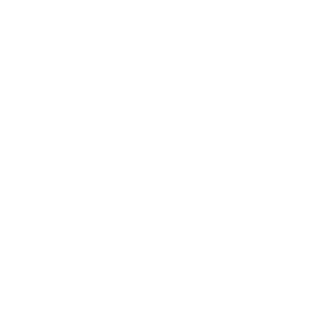 Icon Gift