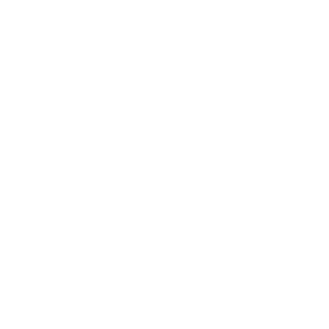Icon Dollar sign