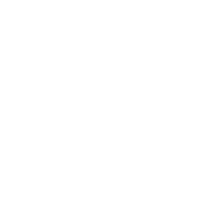 Icon Free Shipping