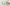 Beauty of Joseon Eye Patches: FAQ on Use, Timing & Depuffing