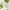 Beauty Of Joseon Limpiador Refrescante de Ciruela Verde (100ml)
