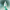 SKIN1004 Madagascar - Tea-Trica lindrande ampull